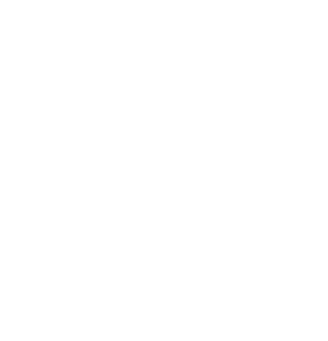 White Logo Variant 2
